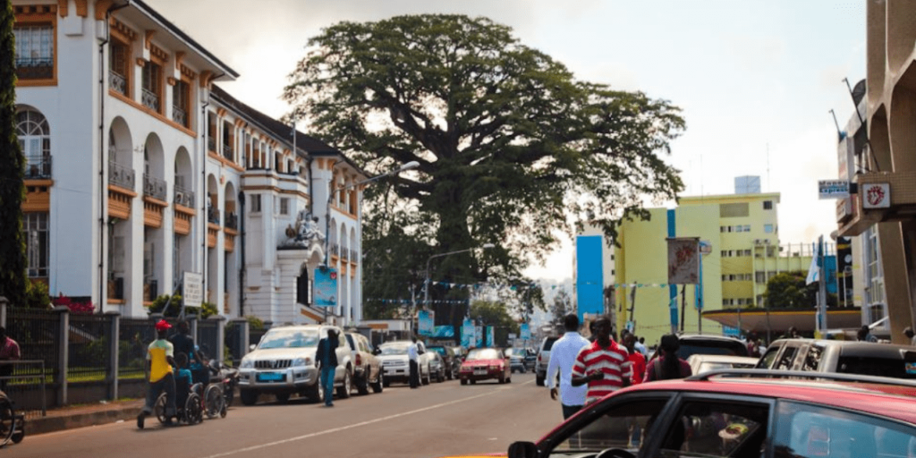 The Old Cotton Tree in Freetown, Sierra Leone